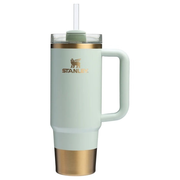 Premium Steel Insulated Tumbler with Handle & Straw