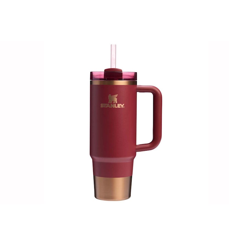 Premium Steel Insulated Tumbler with Handle & Straw