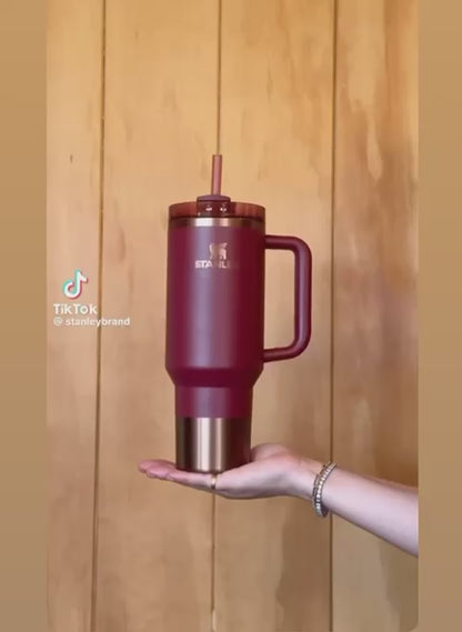Premium Steel Insulated Tumbler with Handle & Straw