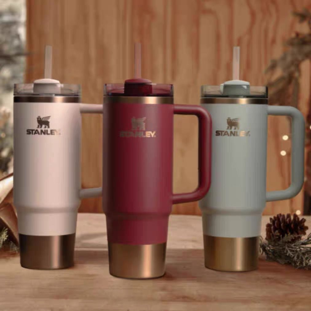 Premium Steel Insulated Tumbler with Handle & Straw