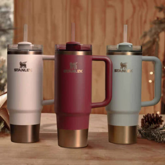 Premium Steel Insulated Tumbler with Handle & Straw